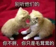  汪汪汪我再说一遍,古代七夕节,真的不是情人节啊,汪汪汪