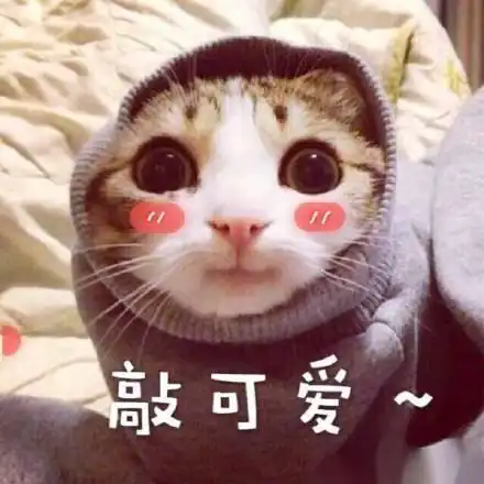 猫脸口红女性表情包