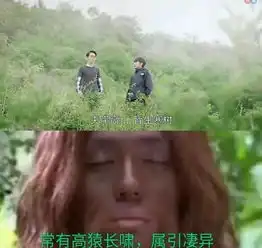  能把朱一龙白宇两位帅哥做成表情包的,只有镇魂女孩了