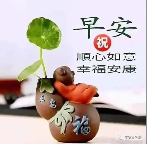  非常漂亮的早上好问候语表情包,温馨暖心的祝福语