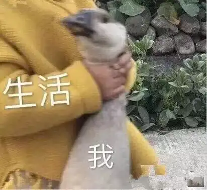 懂了表情包动图气温图