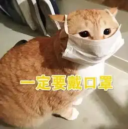  防控科普疫情期间别乱跑这些表情包快收好