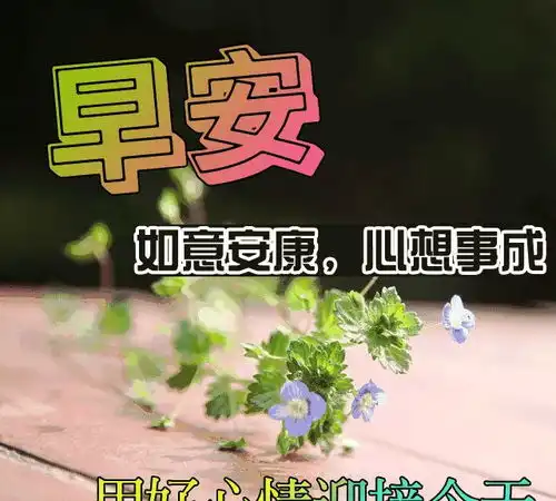  非常漂亮的早安祝福语动态图片,暖心的早安励志句子