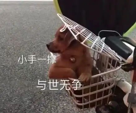  crush和隔壁班的红茶共度元旦