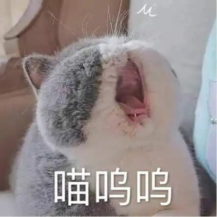  面试文案,人事要求我写一个推广方案发到他邮箱,...