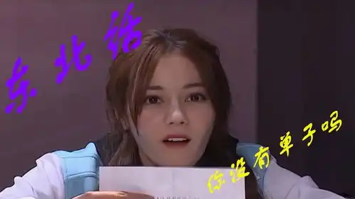  综艺中明星说东北话,观众爆笑不止,承包你的笑点