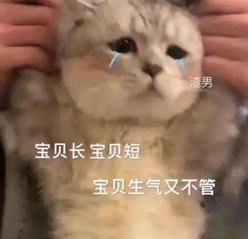  动物表情包下贱