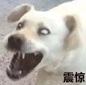  如何利用法医学买到菜市场最新鲜的鸡