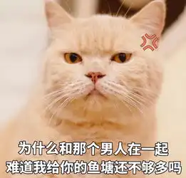  喵星人给你丢了个表情包你算哪块小饼干