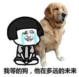  11月新规来了看到第一条就要笑了