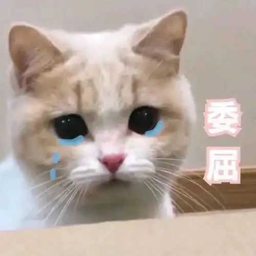  有趣搞笑的沙雕表情包,赶紧收图