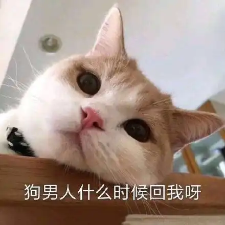  狗男人表情包狗男人微信表情包狗男人qq表情包发表情fabiaoqing.com