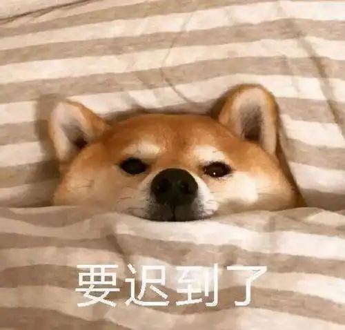  柴犬冬季打工人表情包要迟到了