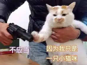  老大第一次说这么多话所以接下来讲笑话