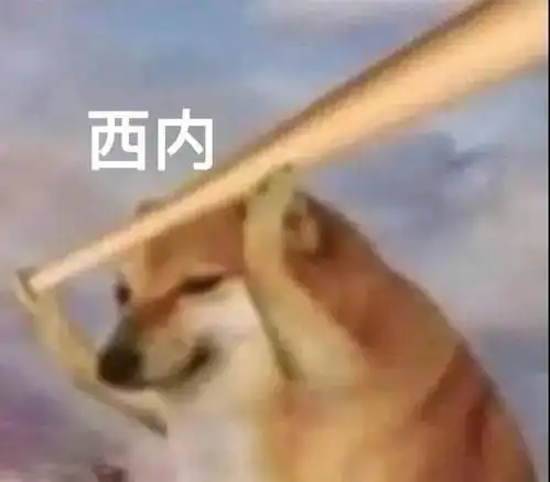  超沙雕表情包狗是假的人你是真的狗