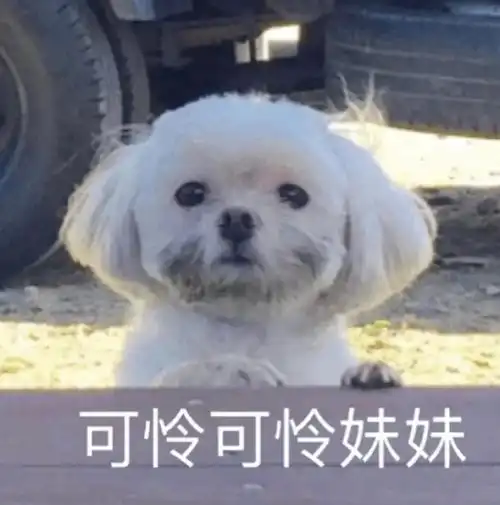  有哪些沙雕朋友圈文案