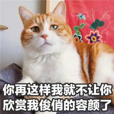 加菲猫表情包小视频聊天