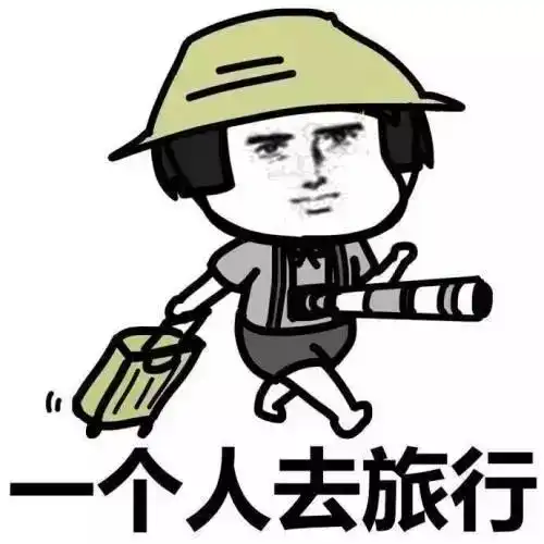 扛着高铁跑路表情包