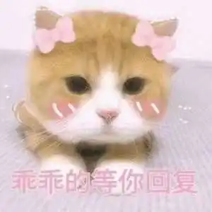 顽皮表情包搞怪