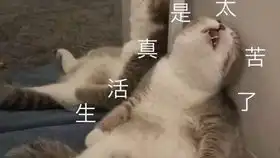  萌新魂土一分钟简单过法