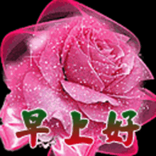  可爱表情包动态微信早晨好问候可爱图片合集