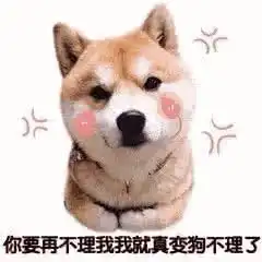  表情包如果有人不回消息,用这些表情包怼ta