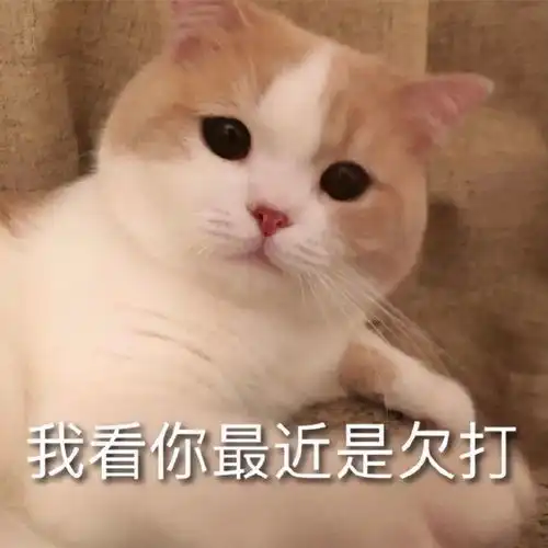  表情包动图大全你在玩火