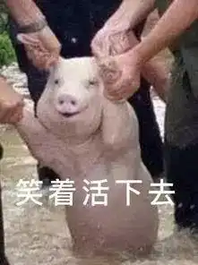  2019猪年邮票设计大盘点