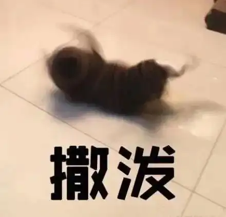  沙雕表情快递怎么还没到啊腾讯新闻