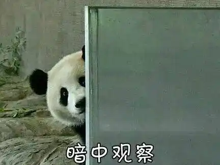  人生第一次,被关晓彤美到了太仙了吧