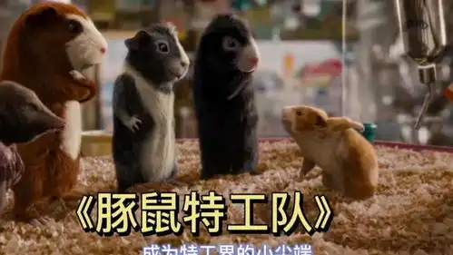  电影博士研究出会说话的豚鼠,组成特工队,看豚鼠如何拯救世界