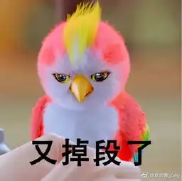  楚乔传农药版鹦鹉表情包图片