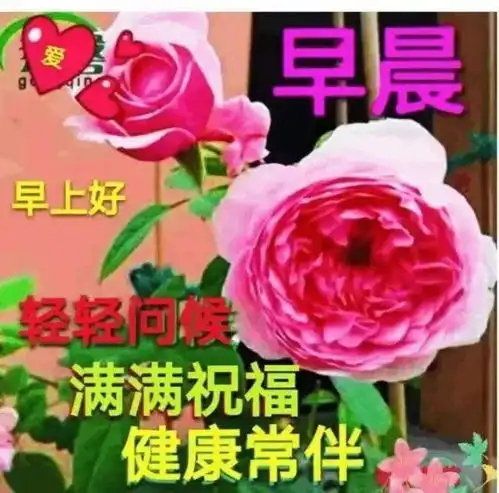 美丽的早上好表情包