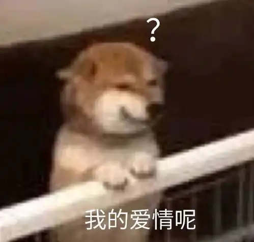  斗图表情包昨天朋友今天妹,明天就是小宝贝