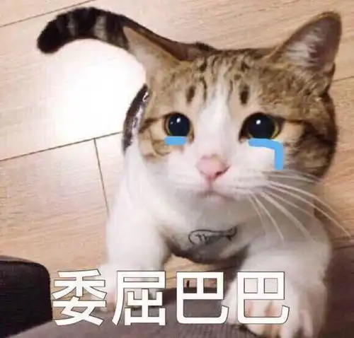  科目二两次全部挂在了曲线行驶