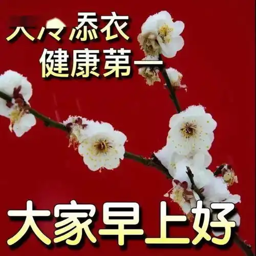  微信群发早上好图片问候语录句子冬天早上好表情包祝福语大全