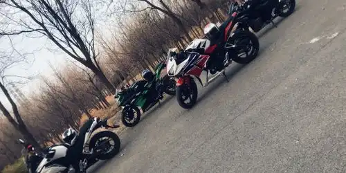  表情不懂装懂的摩托盲都是什么样子表情