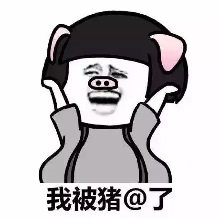 猪表情包搞笑图片