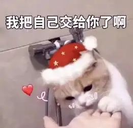  周末我还能干什么圣诞快乐小红帽表情包