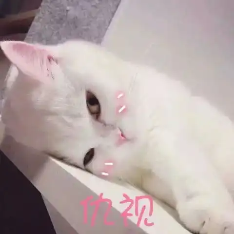猫咪冲刺表情包喵喵喵
