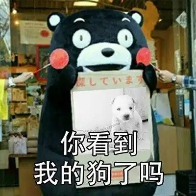 我接住了表情包原图