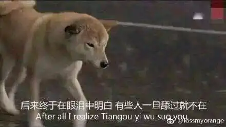  搞笑表情包舔狗的艰难,请不要在拆穿