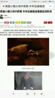  台风中获救的猪,被网友做成了表情包,然而最终......