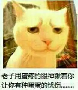  直到高三还没有接触过任何网络社交包括qq的人是怎么样的