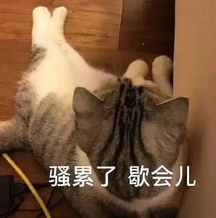  朋友圈沙雕句子