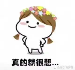  拥有这100个魔性表情包,你就是斗图王
