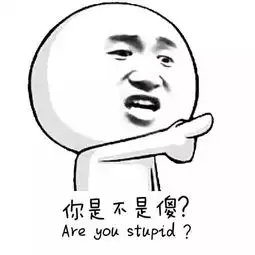  你是不是傻表情包