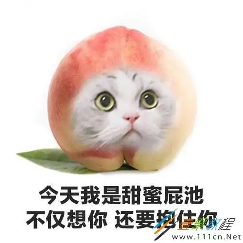  抖音流泪猫猫头表情包有哪些抖音流泪猫猫头表情包分享