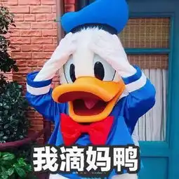  年入400万还在城中村卖12元的鸭仔饭上海人听完都坐不住了