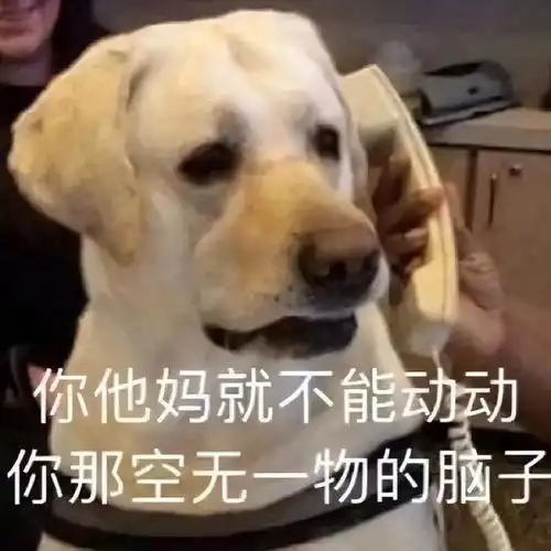  怼人表情包